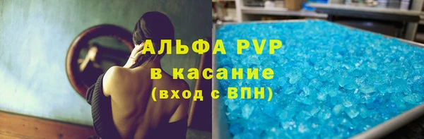 индика Балахна